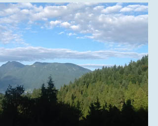 Photo of 
		the view from Dorothy's unit.